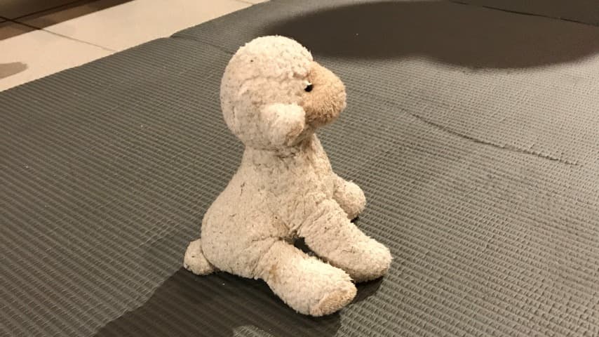 Lilleputt famillesamling/middag